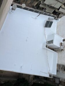 IMG_4310